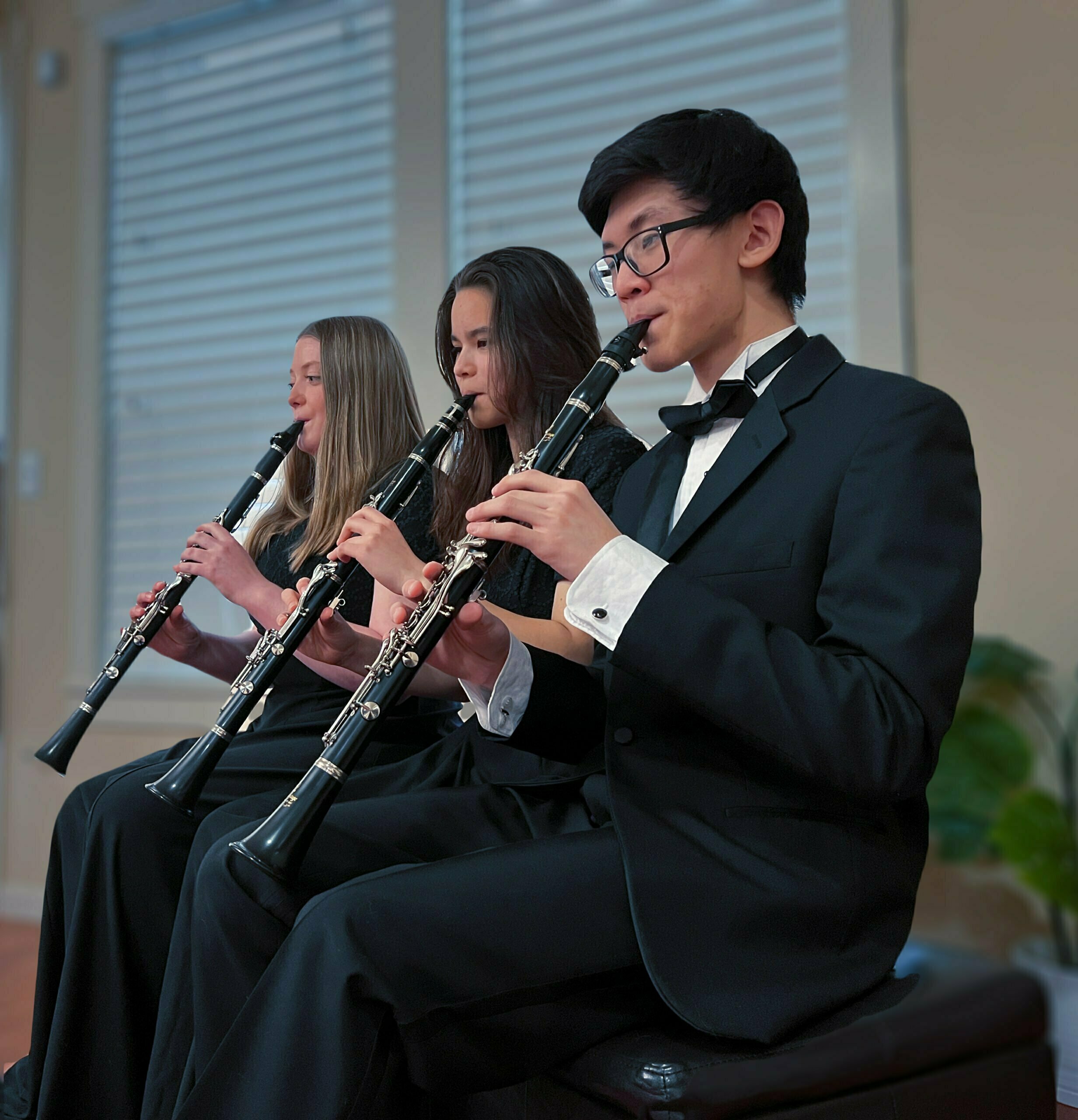 The Clarinet Quartet Minus Josh.